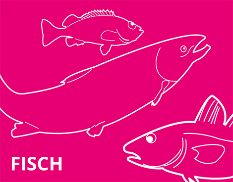 Fisch als Vitamin B12-reiches Lebensmittel symbolisch dargestellt.